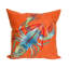 Coussin Vision II