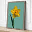 Single Daffodil Botanical - Wrapped Canvas-1550848141-1550848133