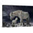 Partners by Bragi Ingibergsson Photographic Print on Canvas-17341372
