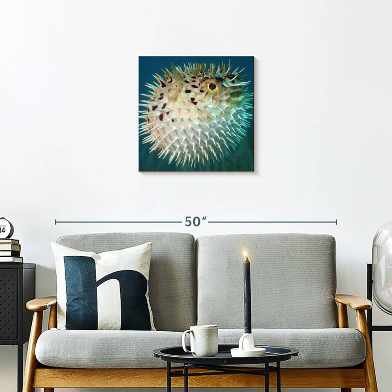 Brampt Puffer Fish, 20" H x 20" W