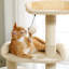 Multi-Level Cat Climbing Tower With Cat Condo, Cat Tree With Scratching Board-285491284