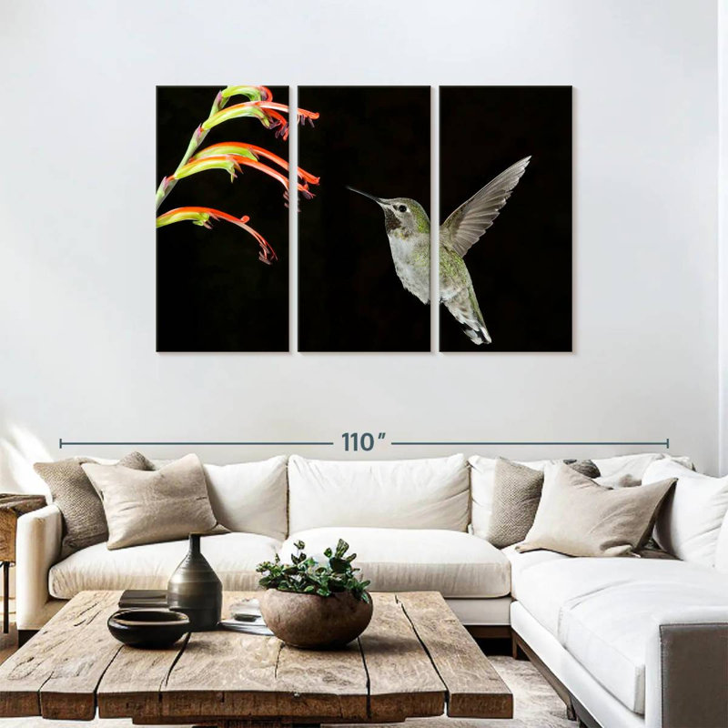 Brampt Hummingbird On Black, 48" H x 74" W