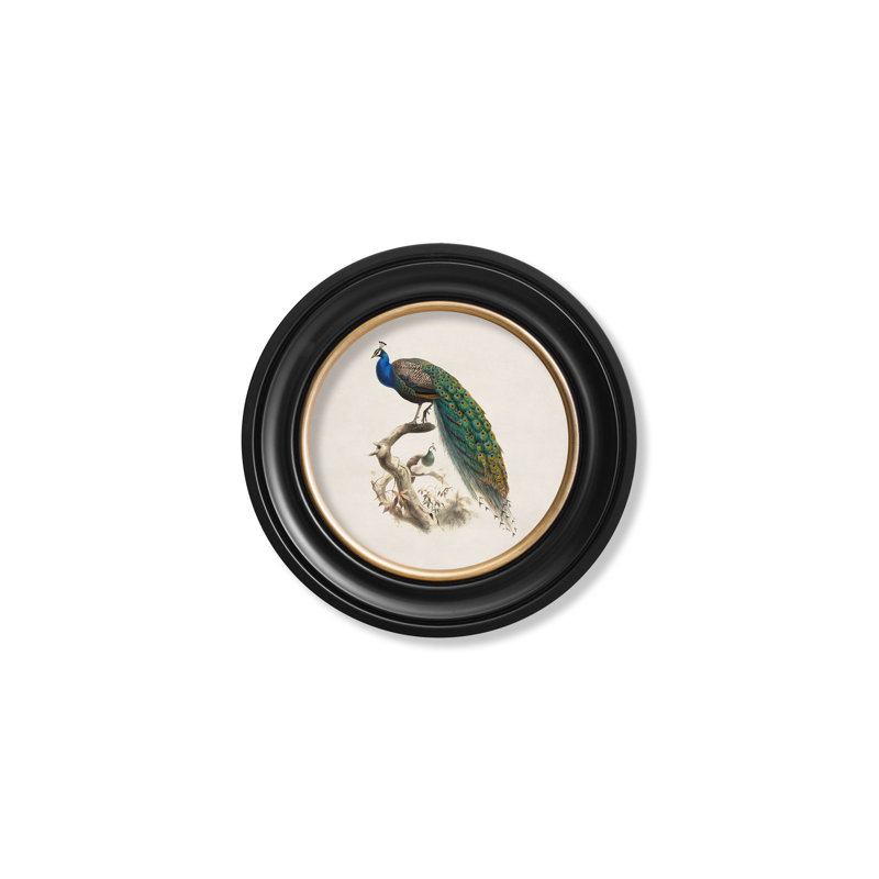 1850 Peacock by Mid-1800s - Single Picture Frame Print on Archival Matt 230gsm Paper, Beige