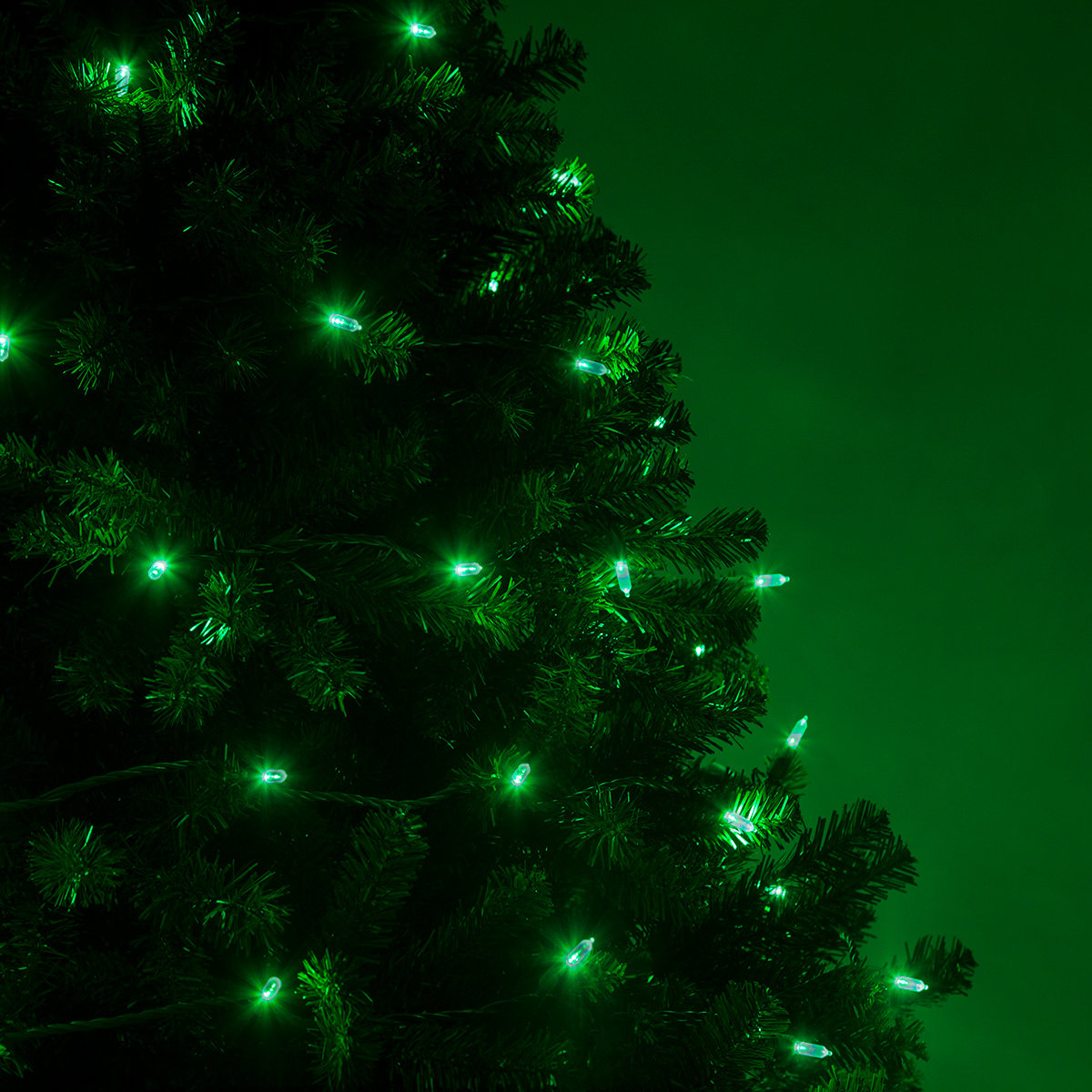 25.5' Steady LED String Lights, Green