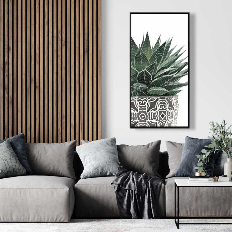 Zebra Plant Succulent - Cactus Canvas Decor
