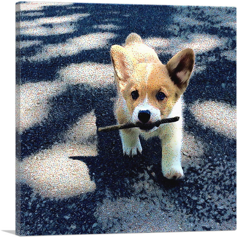 Pembroke Welsh Corgi Dog Breed - impression sur toile tendue, H 12 po x l 12 po x P 1,5 po
