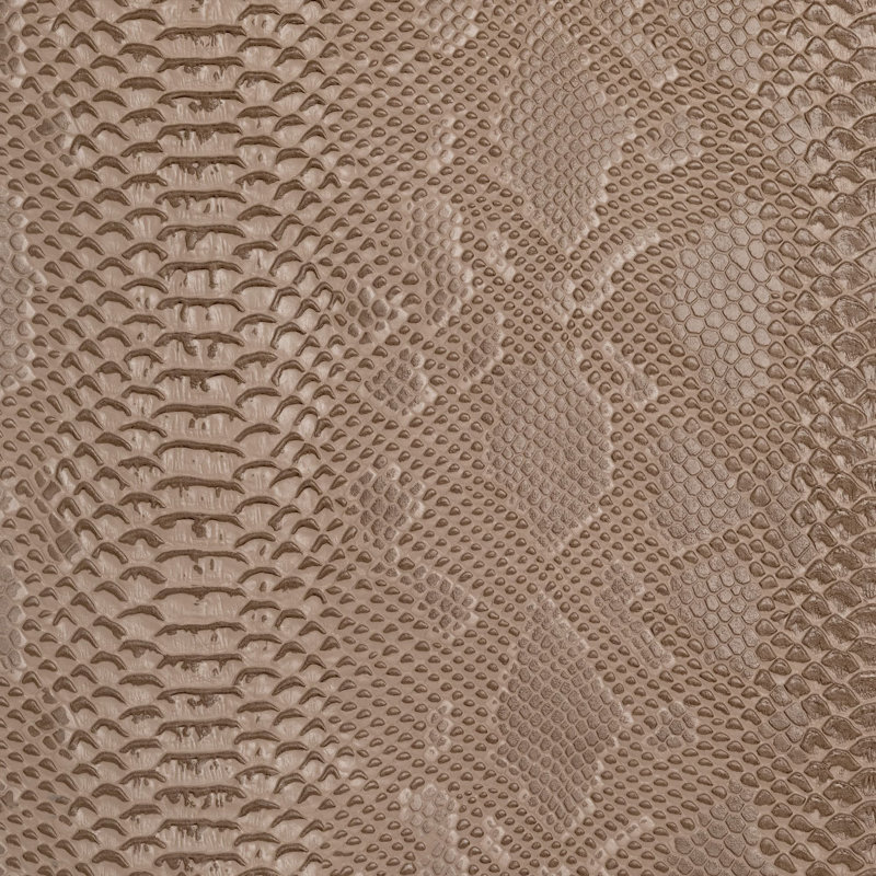 Amazon Fabric, Cafe
