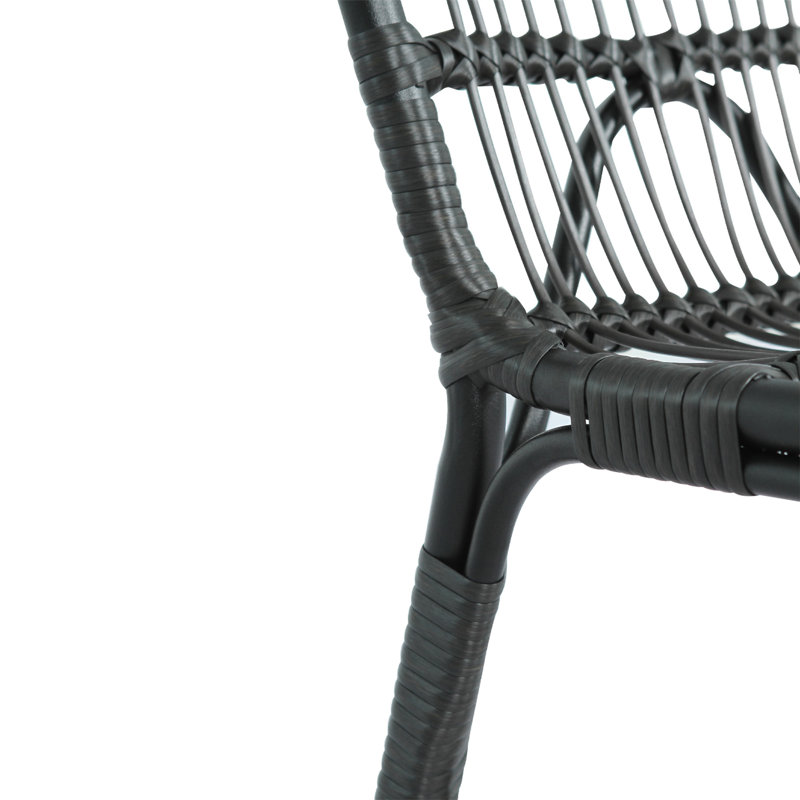 Ensemble de 2 chaises d'extérieur en osier avec coussins lavables, Noir