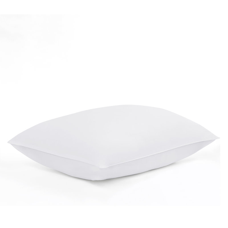 Queen White Hypoallergenic Polyester Down Alternative Pillow Set