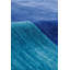 Hand Woven Cotton and Wool Area Rug