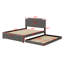 Lit plateforme tapissier avec lit gigogne et 2 ensembles de ports USB-1587155735