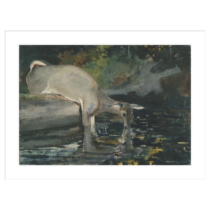 «Deer Dr potable» par Winslow Homer - impression giclée encadrée, H 31,29 po x l 41,5 po