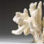 Genuine White Cat's Paw Coral (1 Lb)