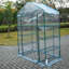 Wagner Walk in Greenhouse 4-Tier 8 Shelves Steel Frame 143 x 73 x 195cm