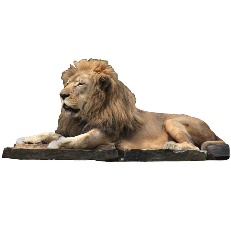 Décalcomanie murale lion, H 27 po x l 60 po