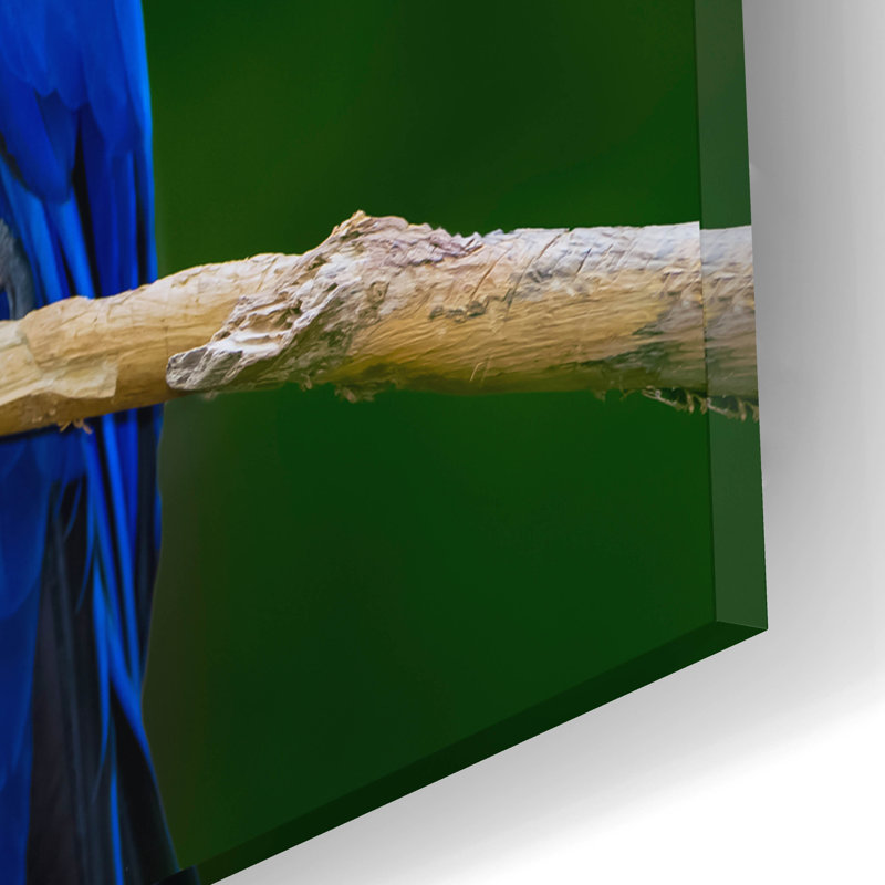 «Lark Manor ™» par Jonathan Ross, art mural en verre acrylique, 16 po x 12 po, H 12 po x l 16 po x P 0,13 po