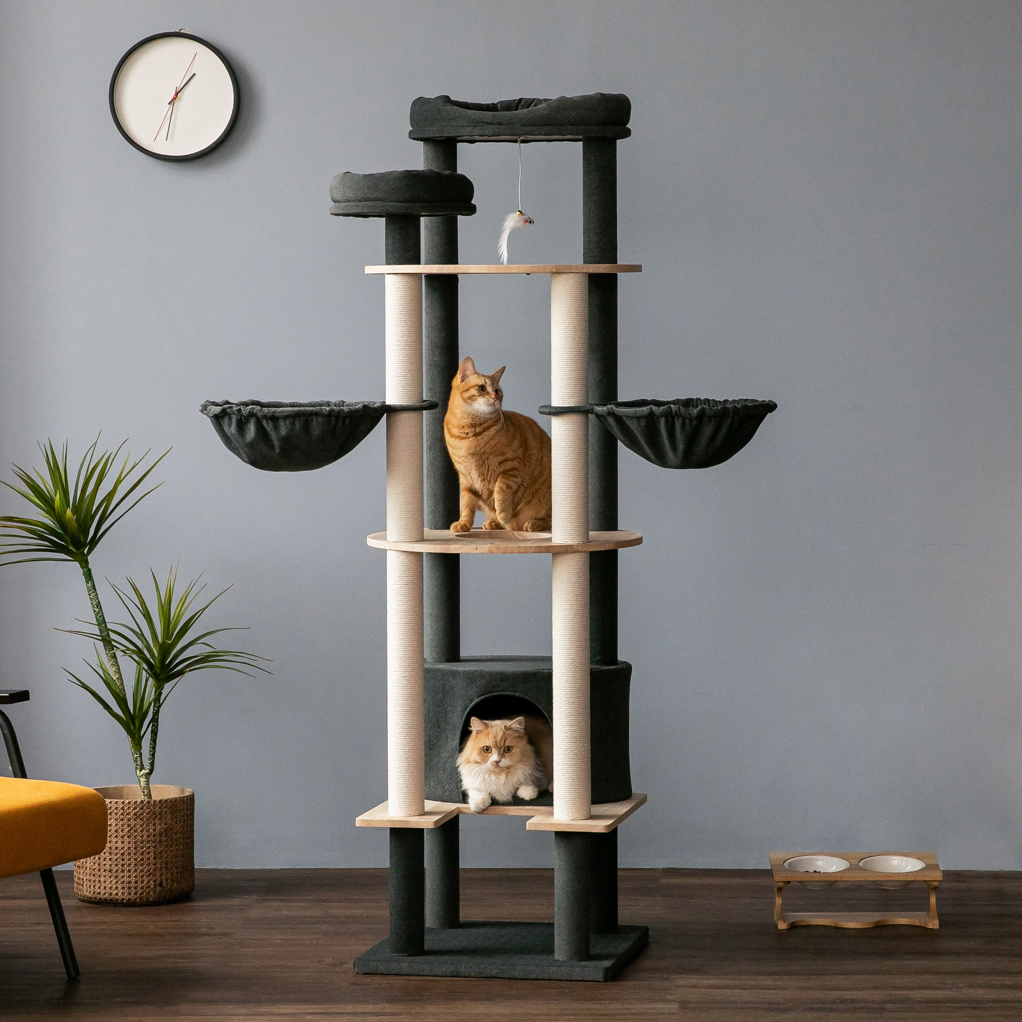 Floor to ceiling 2024 cat tree canada