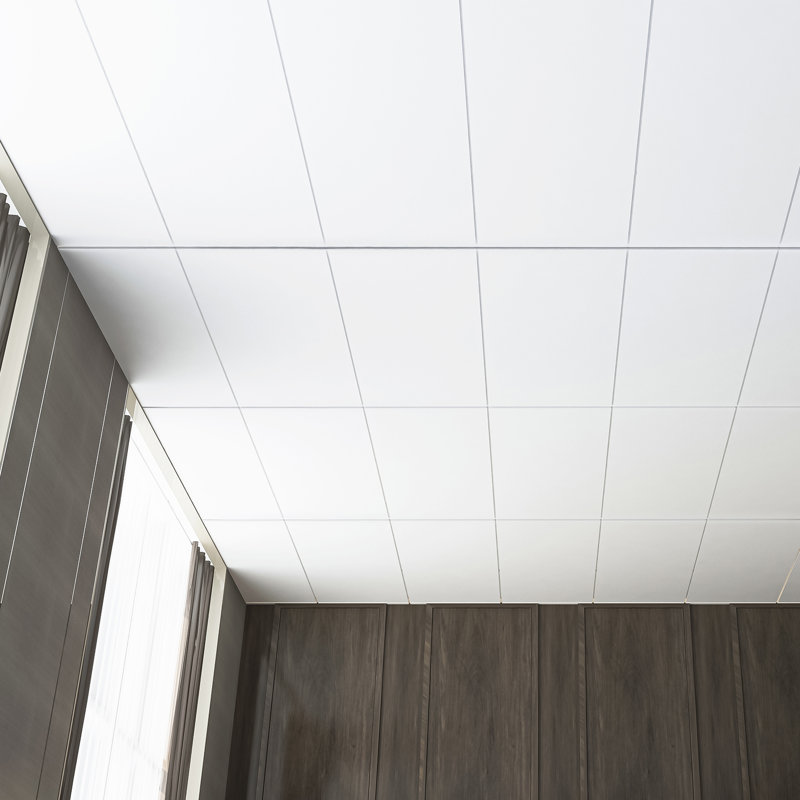 10Pcs 2 ft. x 4 ft. Drop-in PVC Rectangle Ceiling Tile,Smooth Wall Paneling (80 Sq.ft./Case), White