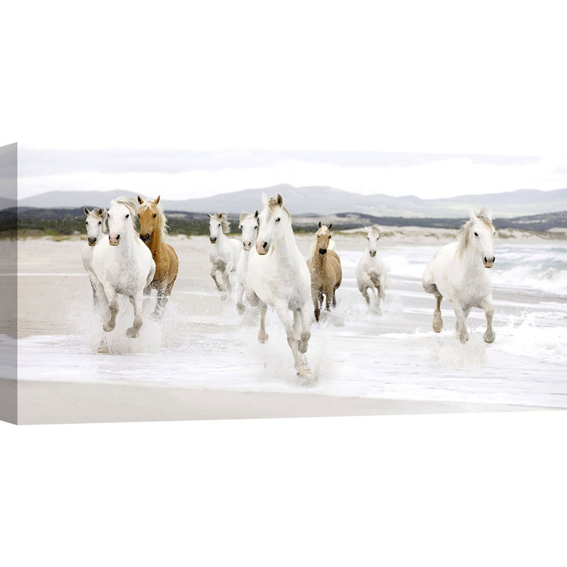 Horses On The Beach - Wrapped Canvas Print, 50cm H x 100cm W