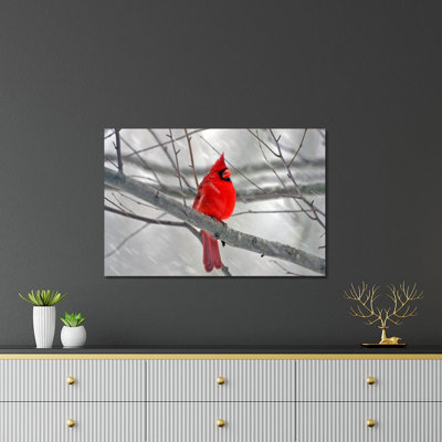 Cardinal Bird Print On Acrylic Glass