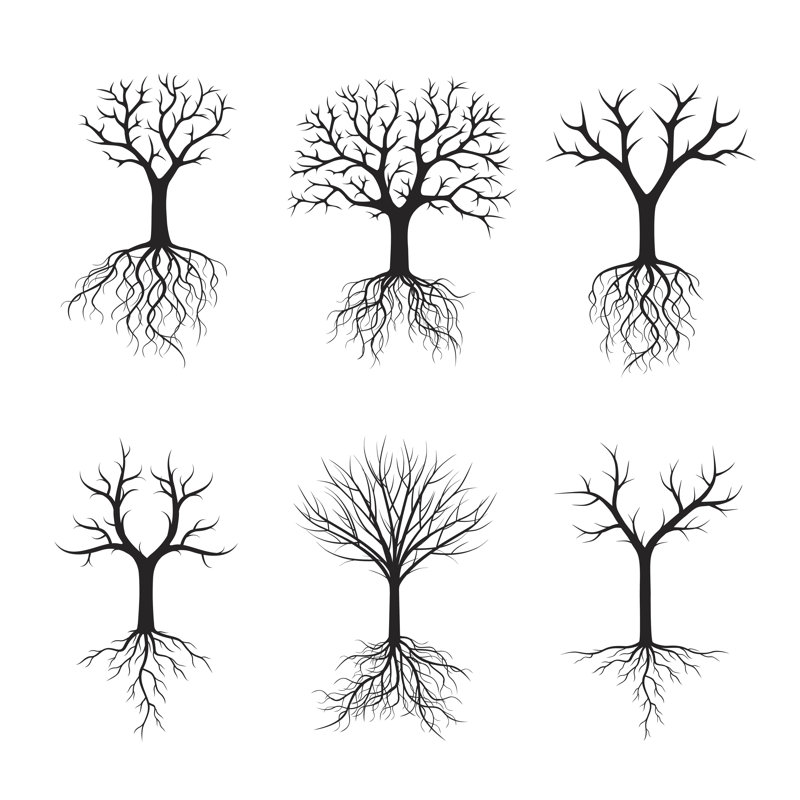 Black Trees by Rolandtopor - Wrapped Canvas Print, 76cm H x 76cm W