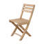 Alabama Folding Beach Chair
