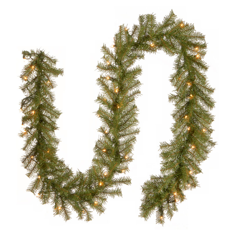 Norwood Fir Garland with Clear Lights, 10' L