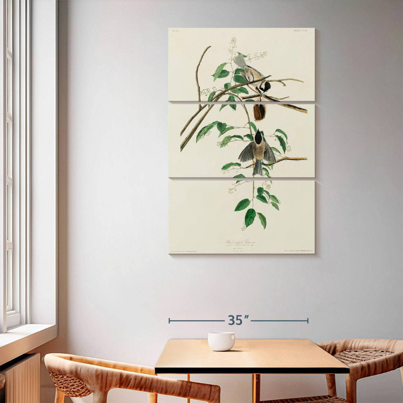 Brampt Carolina Titmouse, 65" H x 42" W