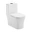 Toilette carrée une pièce à double chasse Concorde, quincaillerie noire 1,1 / 1,6 gpc-121280655-121280656