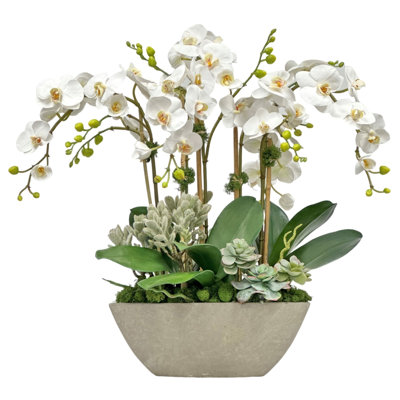 Arrangement in Planter