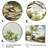 Birch Tree Forest Essence II - Tree Multipanel Wall Art