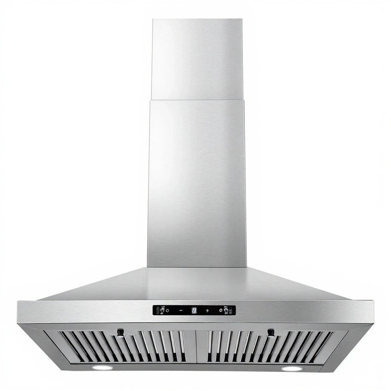 Hotte murale 24 pouces en acier inoxydable