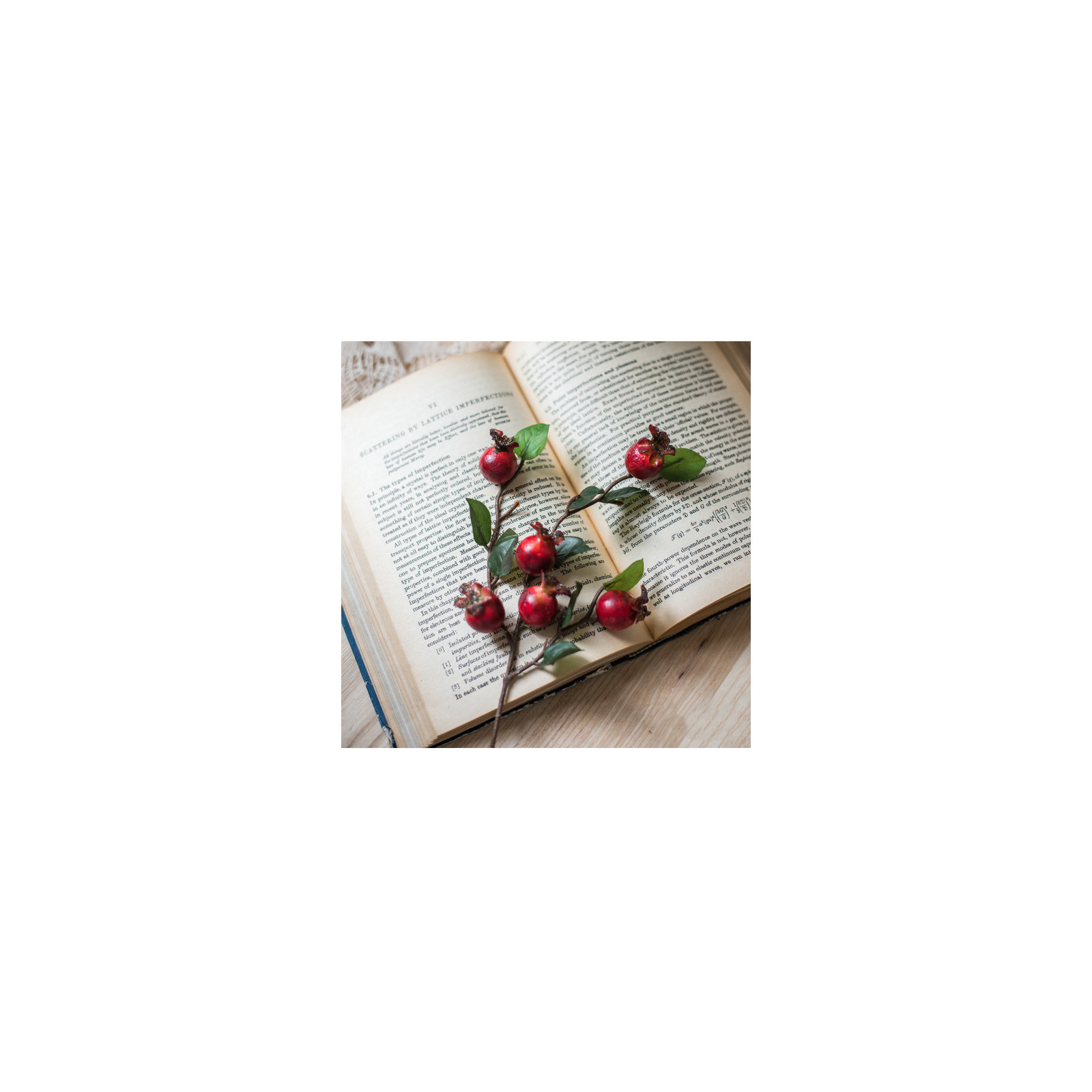 Rustic Artificial Pomegranate Fruit Stem