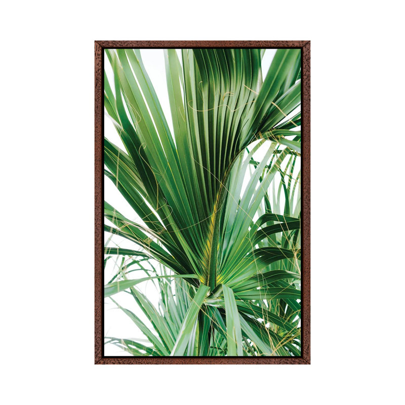 Hilton Head Island V by Bethany Young - Print on Canvas, 101.6cm H x 66.04cm W x 3.81cm D, Classic Brown Wood Framed