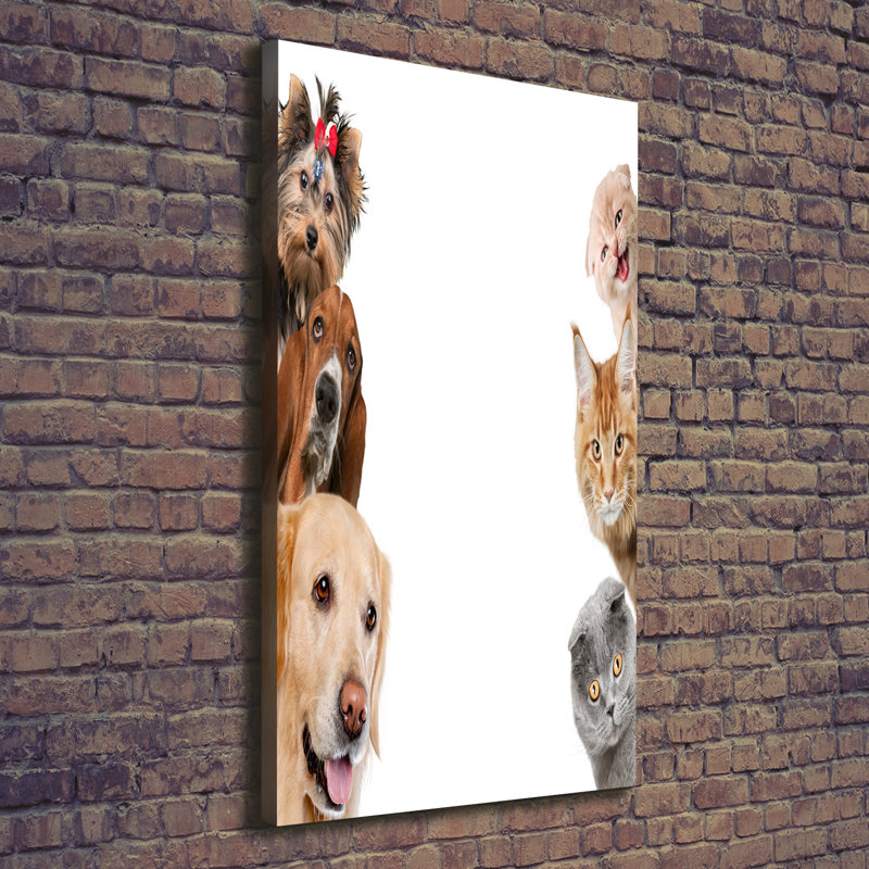 Dogs And Cats - Wrapped Canvas Print