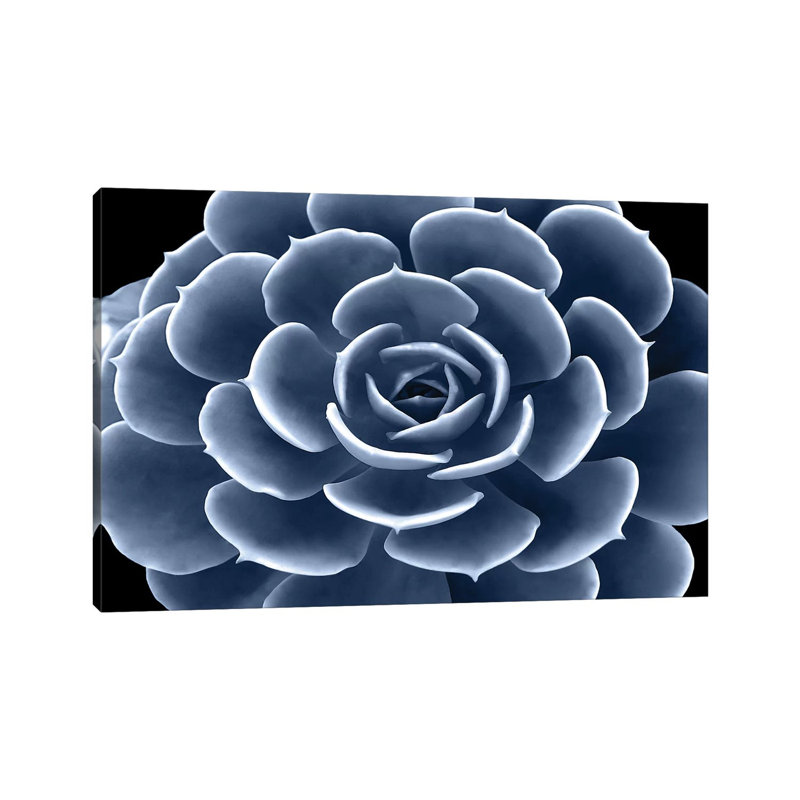Wrapped Canvas Print, 20.32 cm H x 30.48 cm W