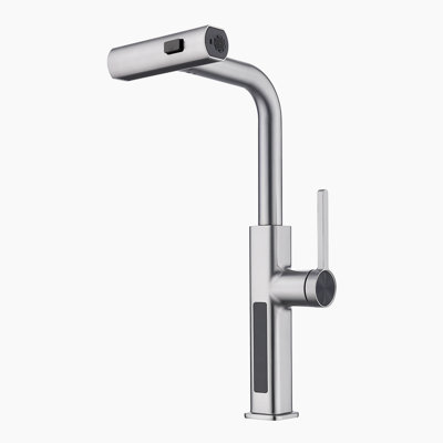 Single Handle Kitchen Faucet with Accessories