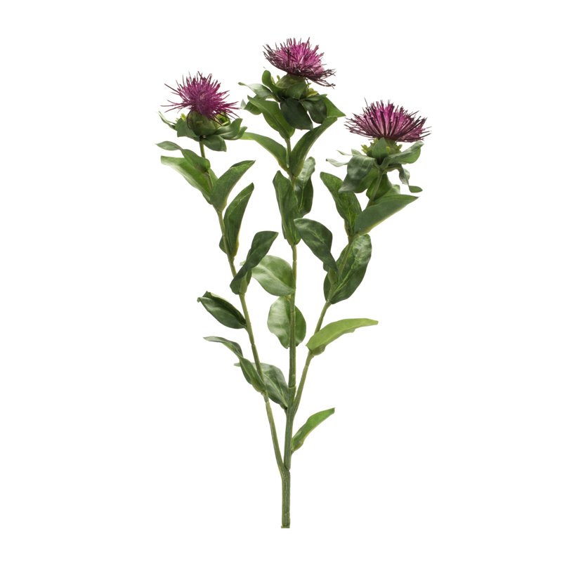 Jeté floral chardon mauve (ensemble de 6), Mauve