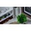 Plateau de service-1333062996