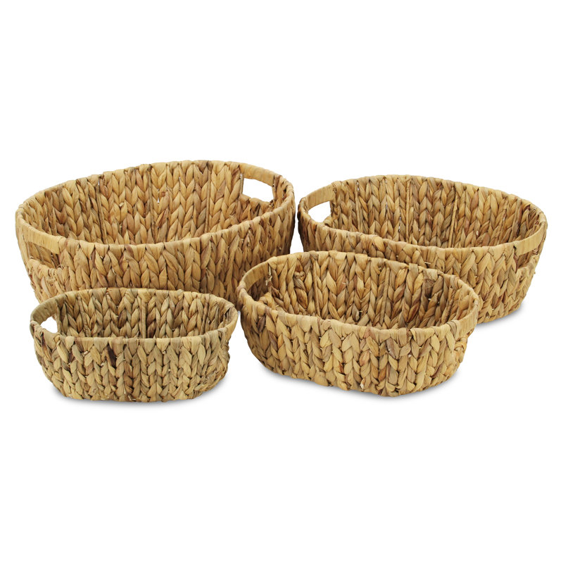 Ensemble de 4 bacs en ruppie maritime