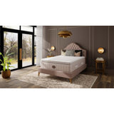 1893 Afternoonified Medium Pillow Top Innerspring Mattress