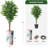 75'' Faux Ficus Tree in Planter-97992041