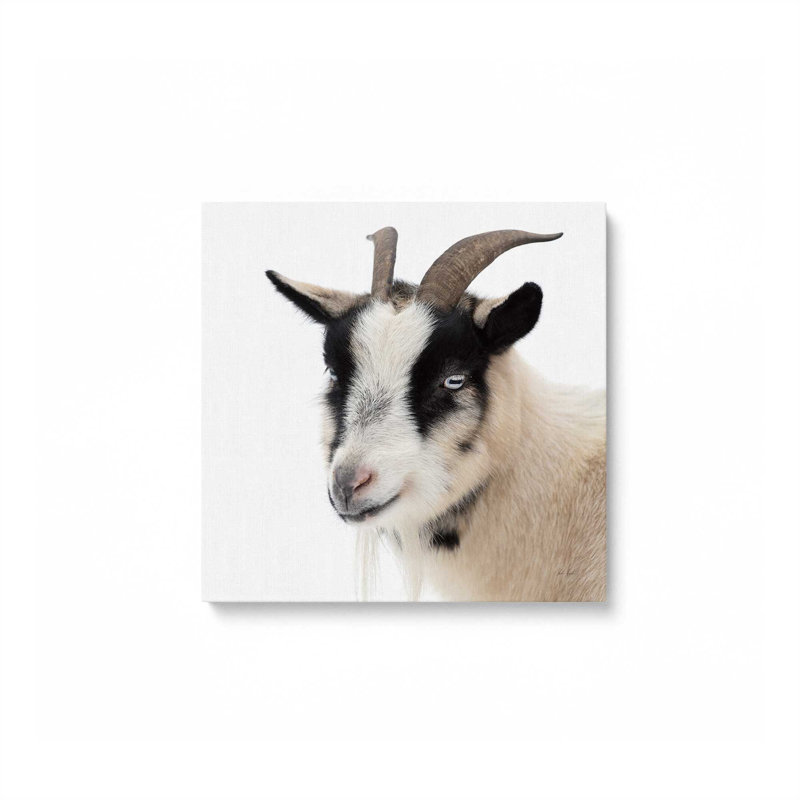 "Pippa the Goat IV" par Deborah Revell, reproduction d'art sur toile, H 30 po x l 30 po, Toile tendue, Ne s’applique pas