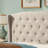 Upholstered Wingback Platform Bed, Bed Frame with Nailhead Trimmed Wingback and Button-Tufted-114285815-114285809