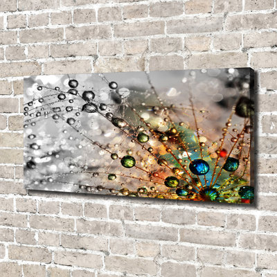 Dandelion Seeds - Print