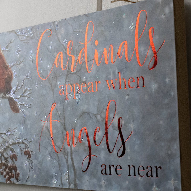 Les cardinaux paraissent une affiche en bois avec un porte-corde