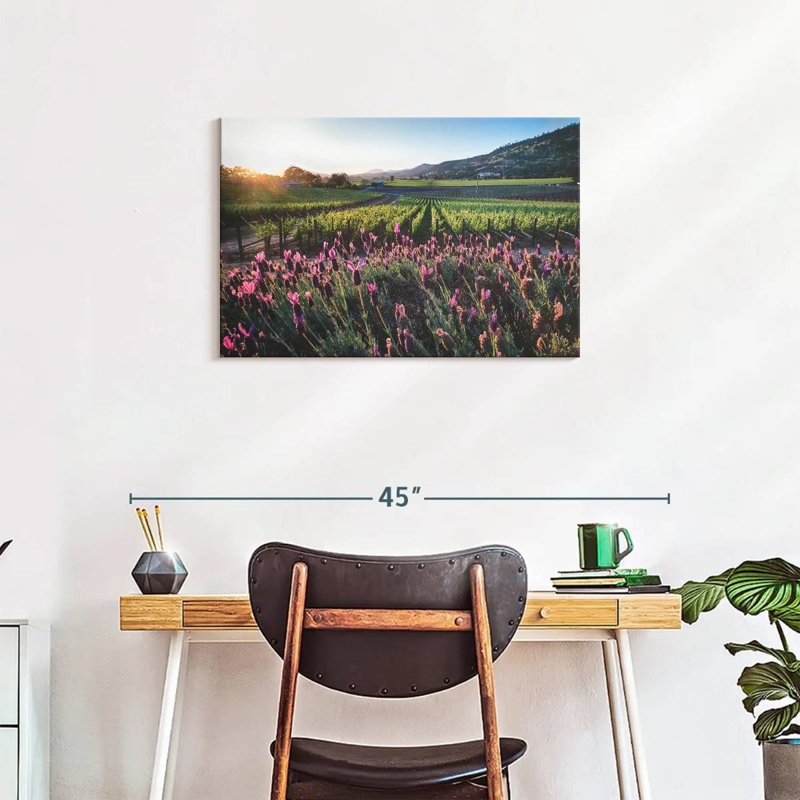 Alvord Napa Valley, vignes et fleurs, H 20 po x l 30 po