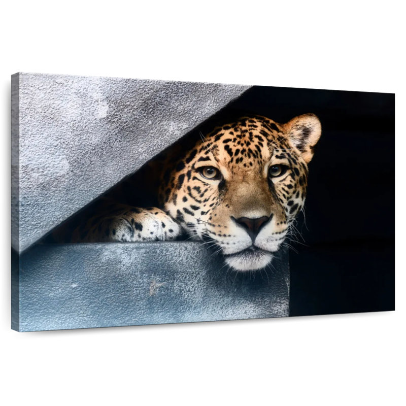Brampt Peeking Jaguar, 8" H x 12" W