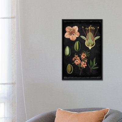 " Study In Botany I " by Vision Studio
