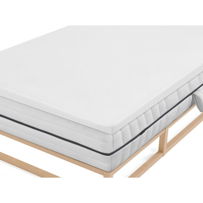 Cotton Blend Jersey Knit Fitted Sheet